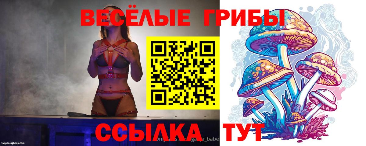 Псилоцибиновые грибы ЛСД Качканар