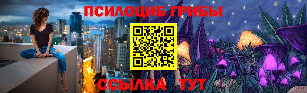 Псилоцибиновые грибы мухоморы  дарнет шоп  Вход с VPN  Качканар  Псилоцибиновые грибы прущие грибы 